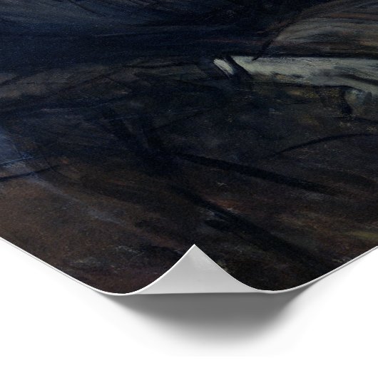 Anna de Noailles Poster (Ecke)