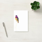 Anna Hummingbird Foto 4x6 Notepad Post-it Klebezettel (Büro)