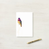 Anna Hummingbird Foto 4x6 Notepad Post-it Klebezettel (Auf Schreibtisch)