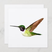 Anna Hummingbird im Flugverkehr Dankeskarte (Vorne/Hinten)