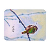 Anna Hummingbird in den Farben der Zweigstellen Magnet (Horizontal)