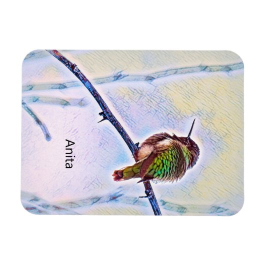 Anna Hummingbird in den Farben der Zweigstellen Magnet (Horizontal)