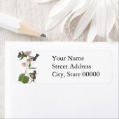 Anna Hummingbird, James Audubon (Insitu)