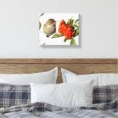 Anna-Hummingbird-Posen mit der Pyracantha Leinwanddruck (Insitu (Schlafzimmer))