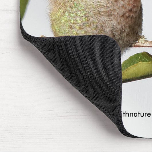 Anna-Hummingbird-Posen mit der Pyracantha Mousepad (Ecke)