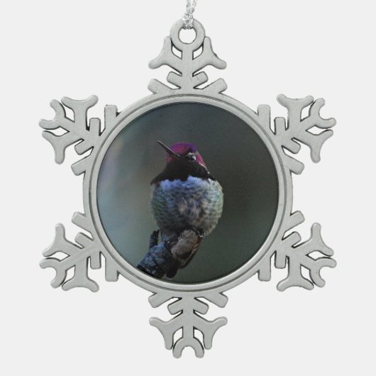 Anna Hummingbird Schneeflocken Zinn-Ornament (Vorderseite)