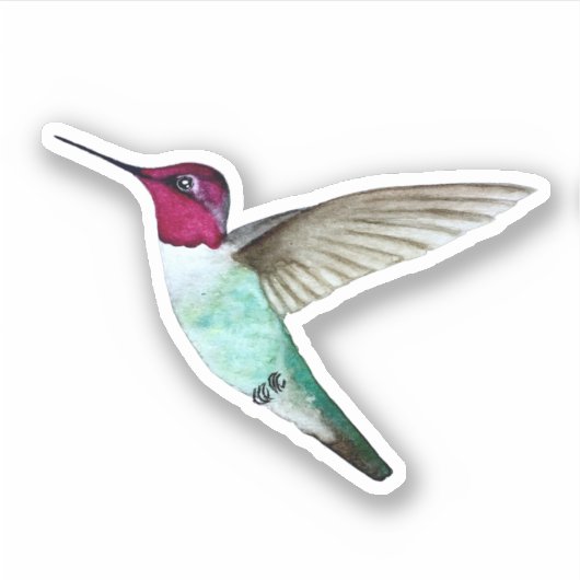 Anna-Hummingbird-Sticker Aufkleber (Vorderseite)