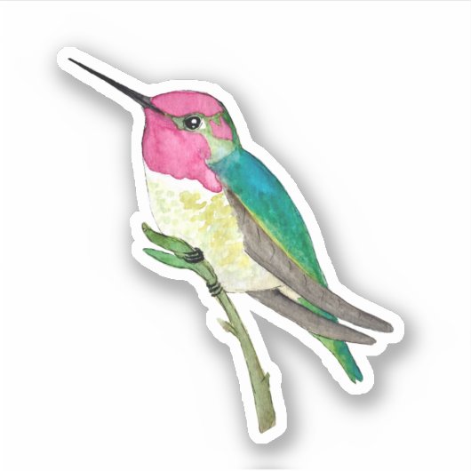 Anna-Hummingbird-Sticker Aufkleber (Vorderseite)