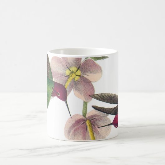 Anna Hummingbird von Audubon Kaffeetasse (Mittel)