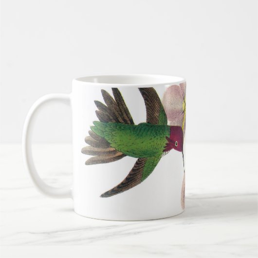 Anna Hummingbird von Audubon Kaffeetasse (Links)