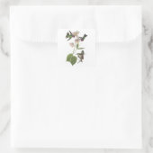 Anna Hummingbird von Audubon Quadratischer Aufkleber (Tasche)