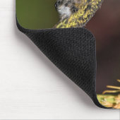 Anna-Kolibri, Kolibri, Vogel Mousepad (Ecke)
