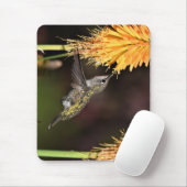Anna-Kolibri, Kolibri, Vogel Mousepad (Mit Mouse)