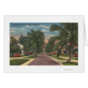 Anna Maria, Florida - Ansicht der Palmen entlang