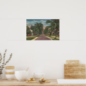 Anna Maria, Florida - Aussicht auf Palms entlang d Poster (Küche)