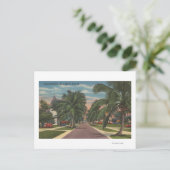 Anna Maria, Florida - Aussicht auf Palms entlang d Postkarte (Stehend Vorderseite)