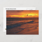 Anna Maria Island, FL Postkarte (Vorne/Hinten)