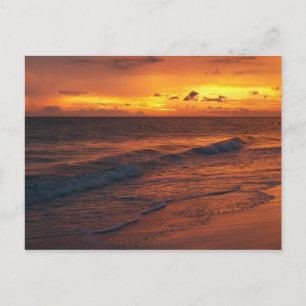 Anna Maria Island, FL Postkarte