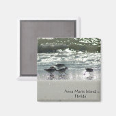 Anna Maria Island, Florida Magnet (Vorderseite/Rückseite)