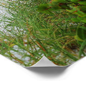 Anna Maria Island, Florida, Strandszene Poster (Ecke)