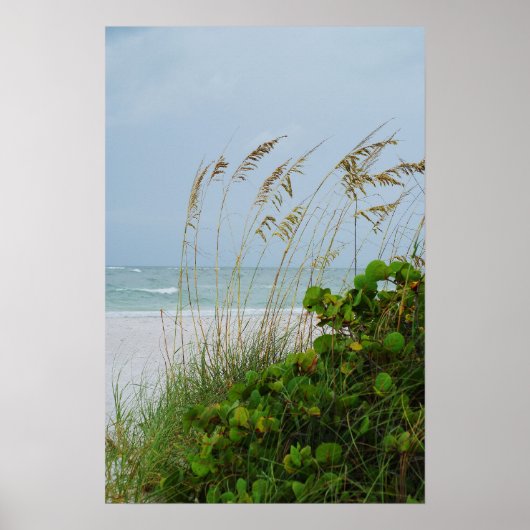 Anna Maria Island, Florida, Strandszene Poster (Vorne)