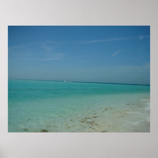 Anna Maria Island Poster (Vorne)