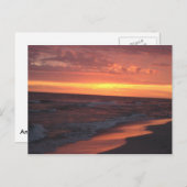 Anna Maria Island Sunset Postkarte (Vorne/Hinten)