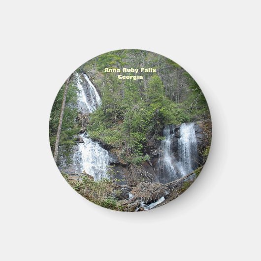 Anna Ruby Falls Ga Magnet (Vorne)