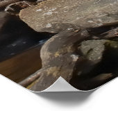 Anna Ruby Falls Georgia Poster (Ecke)