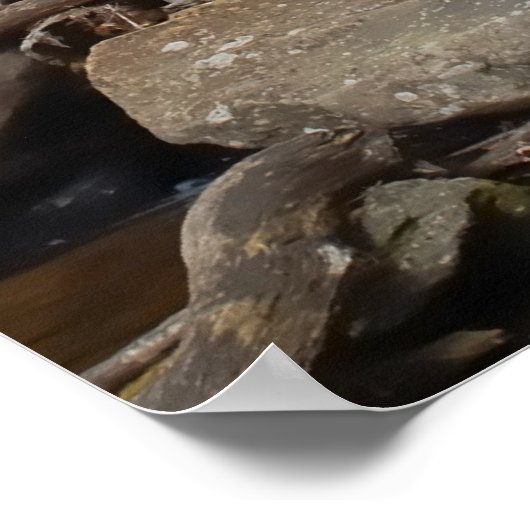 Anna Ruby Falls Georgia Poster (Ecke)