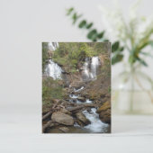 Anna Ruby Falls Georgia Postkarte (Stehend Vorderseite)