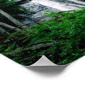 Anna Ruby Falls Poster (Ecke)