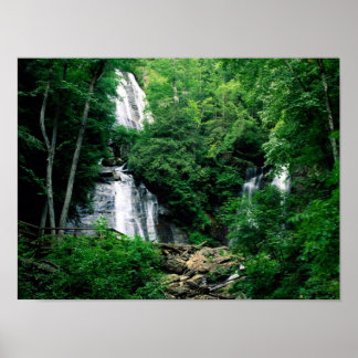 Anna Ruby Falls Poster