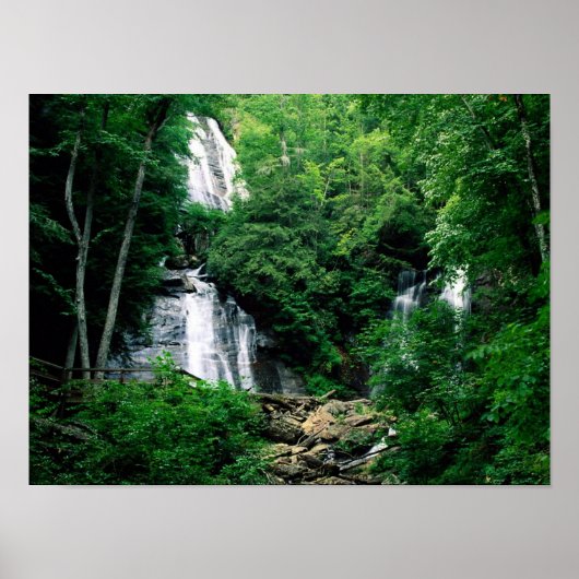 Anna Ruby Falls Poster (Vorne)