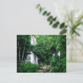 Anna Ruby Falls Postkarte (Stehend Vorderseite)