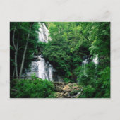 Anna Ruby Falls Postkarte (Vorderseite)