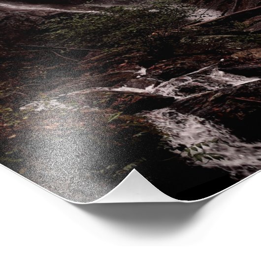 Anna Ruby Falls, York Creek Fotodruck (Ecke)