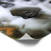 Anna Ruby Tumbles, Poster (Ecke)