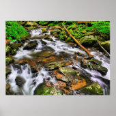 Anna Ruby Tumbles, Poster (Vorne)