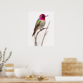 Anna,s Hummingbird Colorful Poster (Küche)