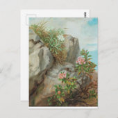 Anna Stainer-Knittel Vintage Alpen-Rose Postkarte (Vorne/Hinten)