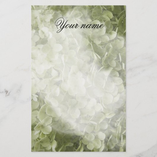 Annabelle Hydrangea Blume Briefpapier (Vorderseite)