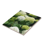 Annabelle Hydrangea-Blüten Fliese (Seite)
