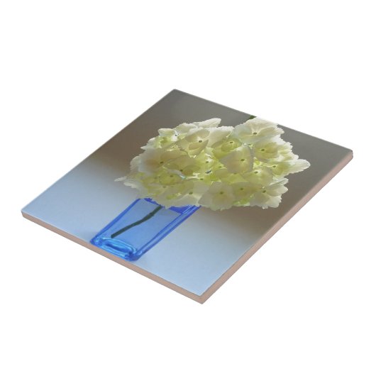 annabelle Hydrangea Fliese (Seite)