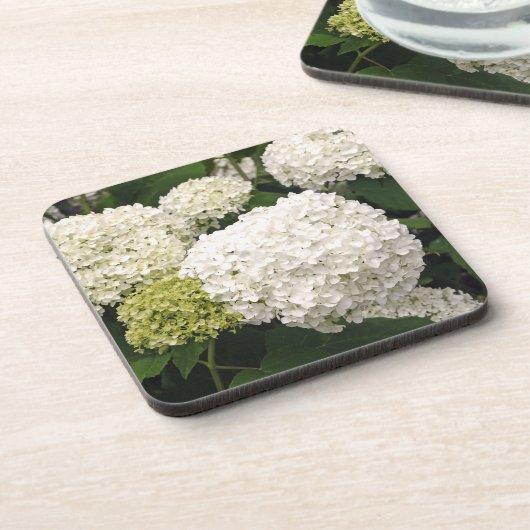 Annabelle Hydrangea Getränkeuntersetzer (Linke Seite)