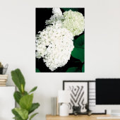               ANNABELLE HYDRANGEA                  POSTER (Heimbüro)