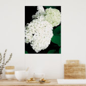               ANNABELLE HYDRANGEA                  POSTER (Küche)