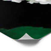               ANNABELLE HYDRANGEA                  POSTER (Ecke)