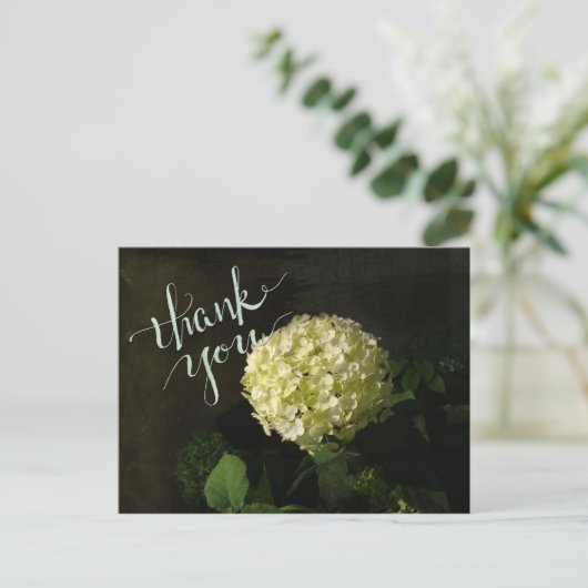 Annabelle Hydrangea Vielen Dank Postkarte (Stehend Vorderseite)