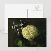 Annabelle Hydrangea Vielen Dank Postkarte (Vorne/Hinten)